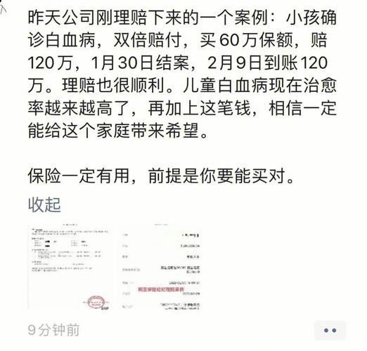 保险理赔案例解析：避坑与高效办理指南