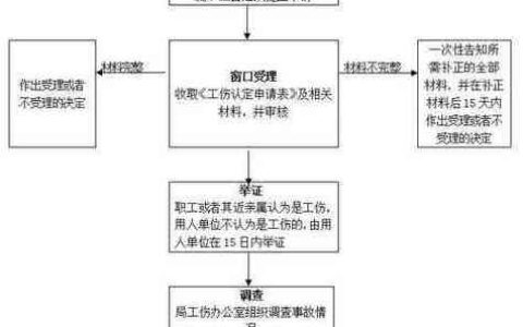 工伤申请流程全解析：轻松办理不再迷茫
