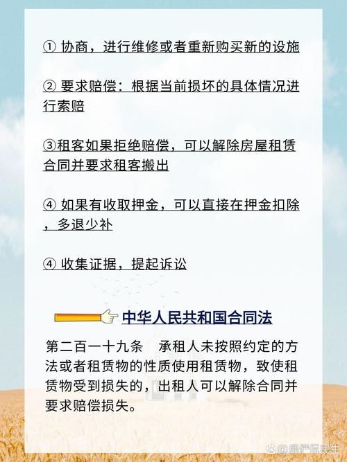 房屋损坏如何依法索赔？赔偿标准全解析