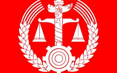 中国法律网：探秘法律服务的数字化未来