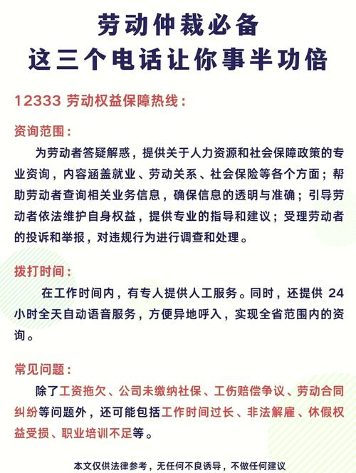 拨打12333解惑劳动法：咨询全攻略