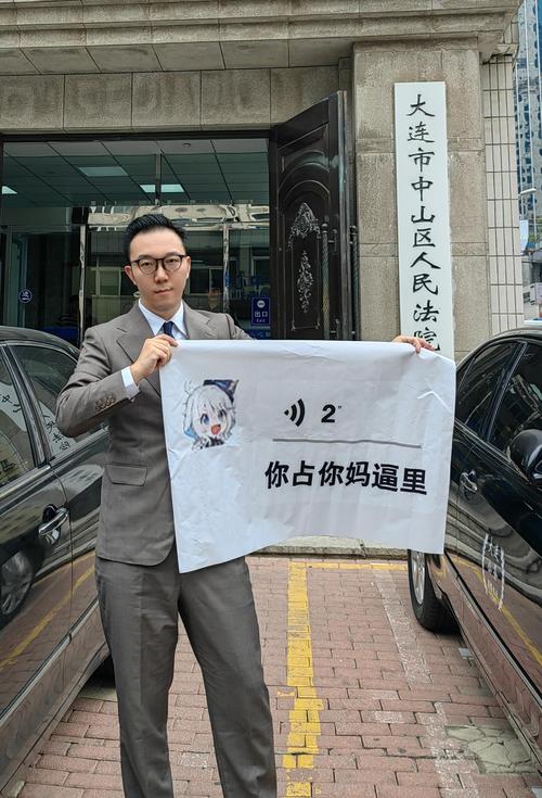 诉讼记录消除全攻略：程序与技巧解析