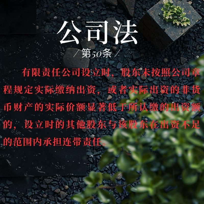 公司法第50条深度解析：有限责任公司组织机构设立要点