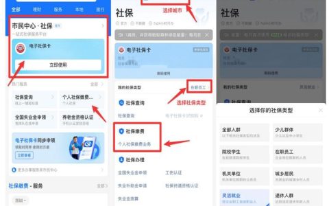 个人社保缴纳指南：告别迷茫，多渠道参保方式全解析