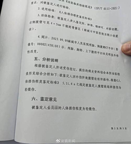 轻微伤纠纷调解失败:后果与应对全攻略