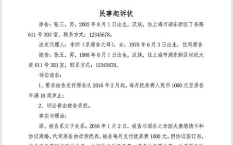女方如何撰写离婚起诉书：法律与实践指南