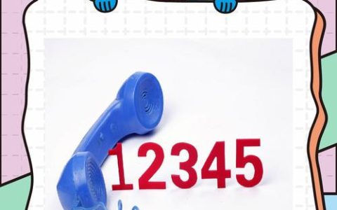 12345政务热线：公民权利救济的法律实务指南