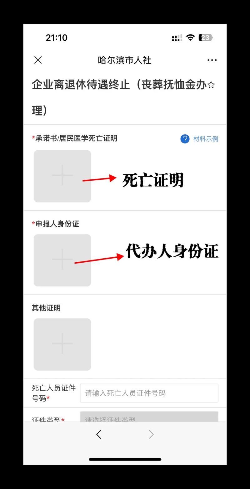 抚恤金领取条件与标准详解