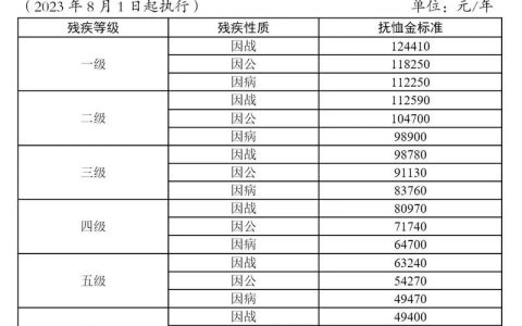 深度解析一级二级残疾待遇：标准、补贴与生活影响