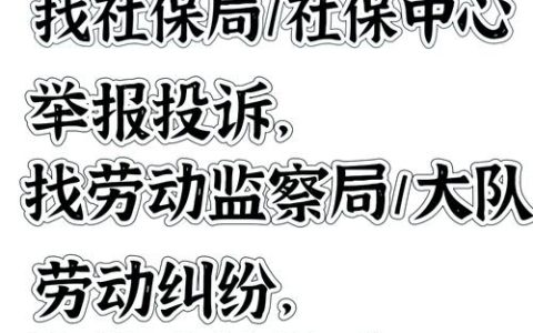 劳动局：劳资纠纷调解的权威守护者
