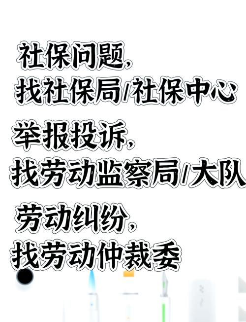 劳动局：劳资纠纷调解的权威守护者