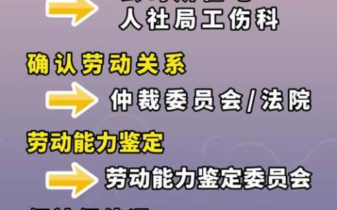 权威法律专家详解工伤认定与赔偿找谁办
