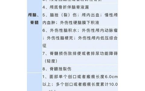 轻伤鉴定标准详解与实务应用指南
