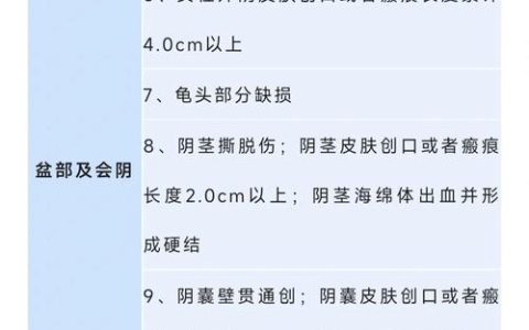 轻伤一级与二级的法律区分与鉴定标准