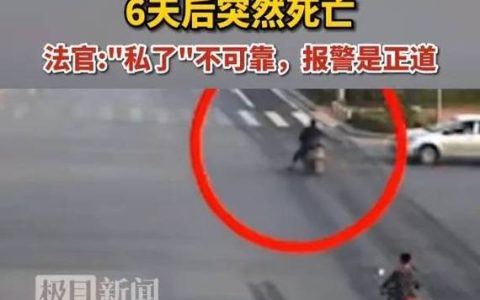 交通肇事致人死亡的刑事责任与法律后果分析