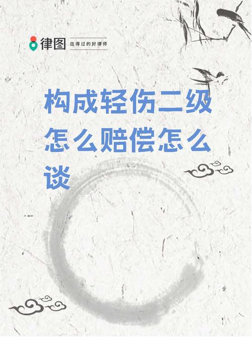 轻伤二级赔偿标准全解析与实操指南