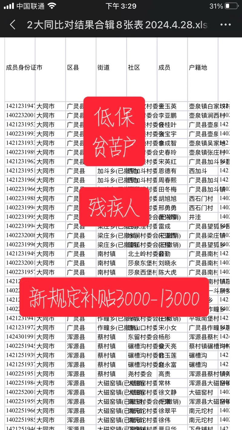 二级残疾人补助标准与申请全解析
