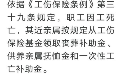 工厂意外死亡赔偿标准与权益保障指南