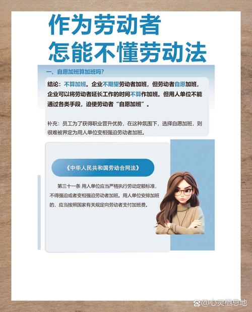 《劳动法》核心权益全解析