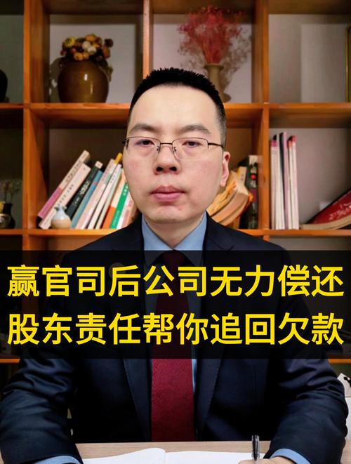 民事官司败诉无力偿还的法律应对全攻略