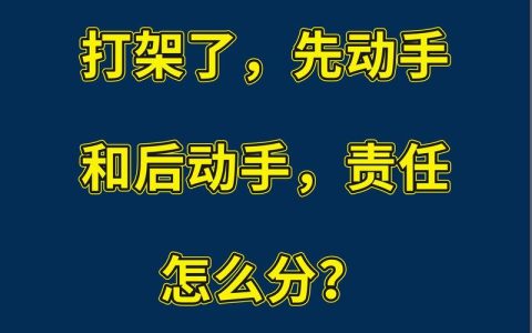 打架双方都动手？法律责任与应对指南