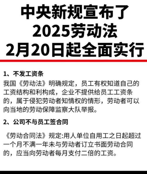 2025年重要法律法规生效：深度解读与影响分析