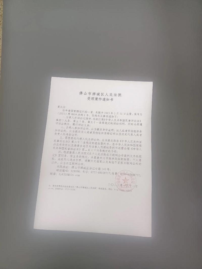 国家赔偿申请详解：维权路上的法律保障