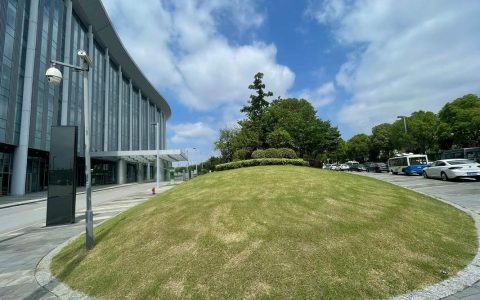上海法律援助申请指南：条件、范围与流程详解