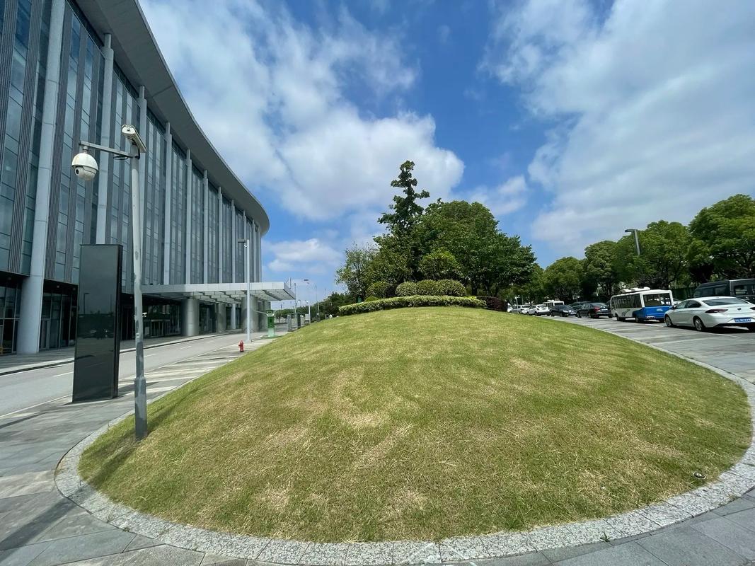上海法律援助申请指南：条件、范围与流程详解