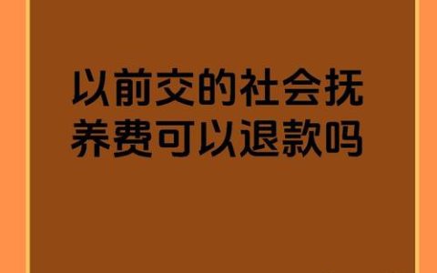 社会抚养费的终结：历史、争议与不再追溯的过往