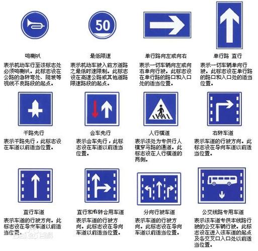 守护出行平安：道路交通安全法核心要义全解析