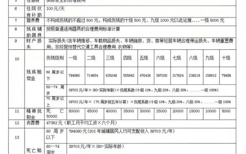 人身损害伤残等级认定实务指南