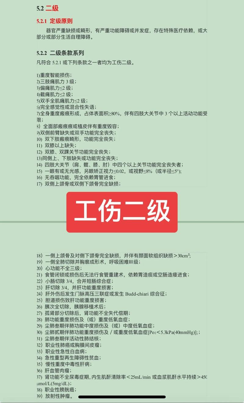 工伤认定与赔偿实务指南：十级标准详解