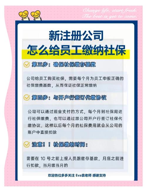 社保代缴公司选择指南：合法渠道与风险防范