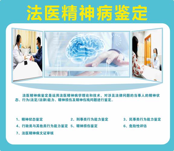 精神疾病司法鉴定全解析：流程、关键与权利保障