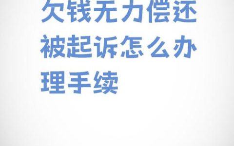 欠款被诉无力偿还？法律应对策略与风险全面解读