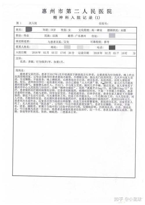精神病人致害百万赔偿，监护人责任与法律详解