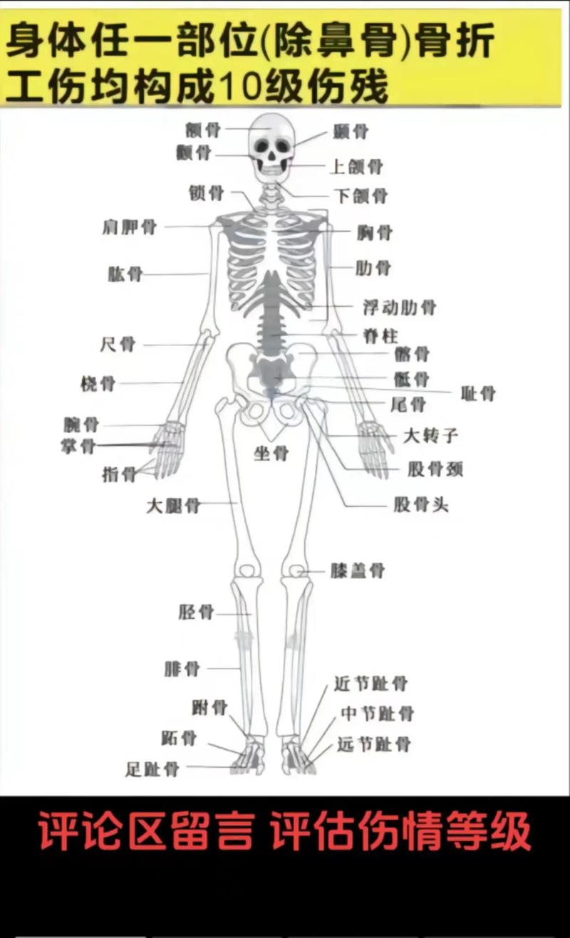 工伤鉴定后赔偿到账时间及流程详解