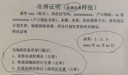 非婚生子女证明办理指南