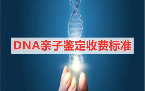 亲子鉴定费用全解析与选择指南
