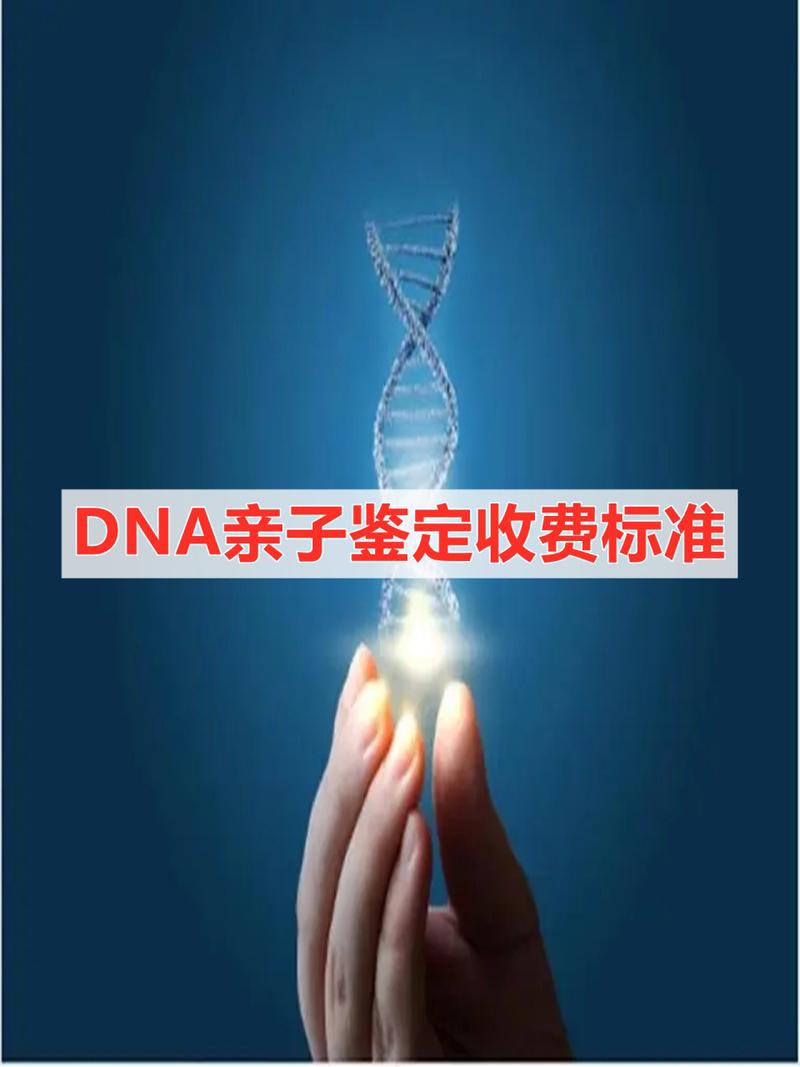 亲子鉴定费用全解析与选择指南