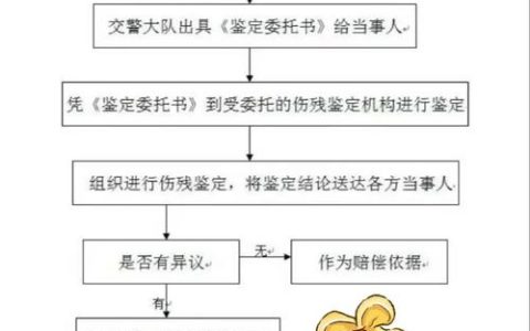 交通事故伤残鉴定全流程详解