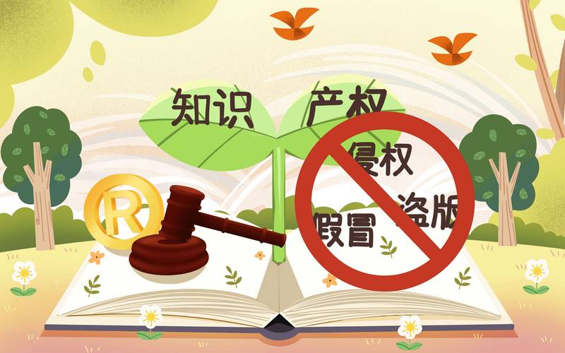 中国专利法详解：创新者权益保护指南