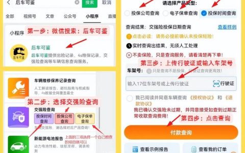 交强险网上购买全攻略：方法步骤与注意事项