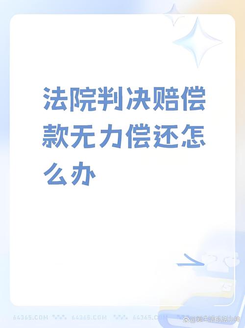 民事赔偿无力偿还：法律应对与权益保障