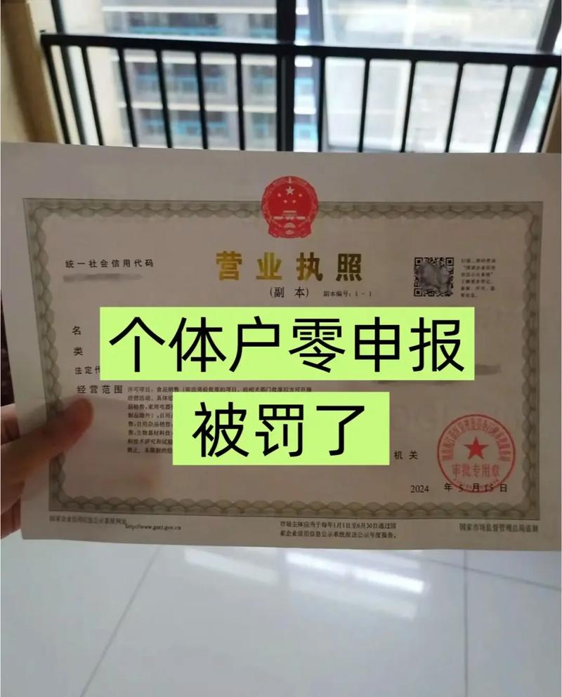 个体户违法处罚标准与应对策略全解