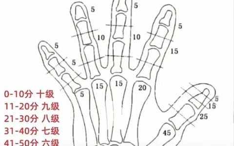 工伤伤残等级怎么定？鉴定流程标准与权益指南