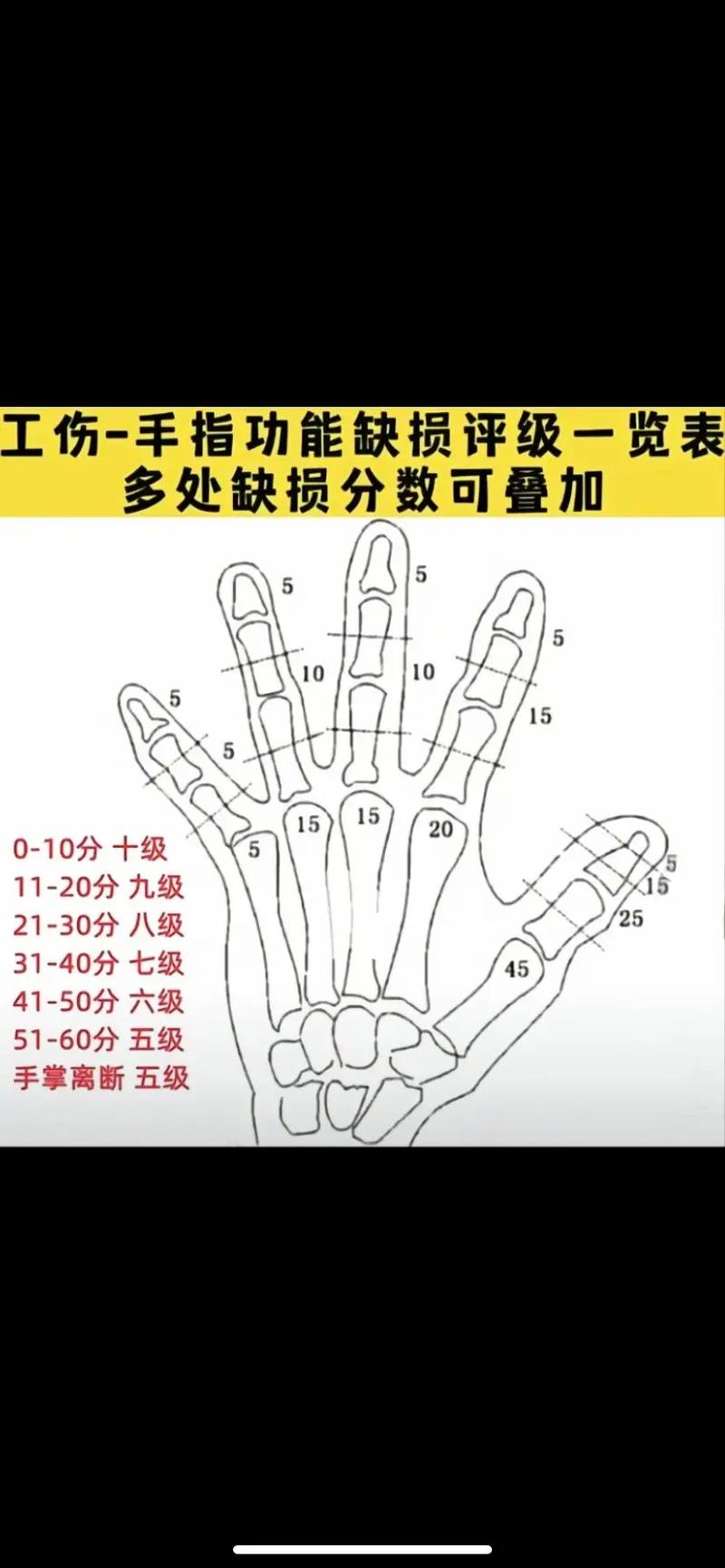 工伤伤残等级怎么定？鉴定流程标准与权益指南