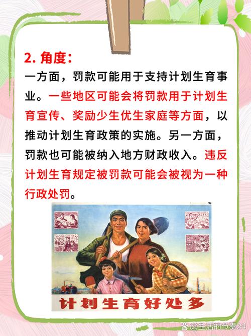 计划生育法律体系的变迁与实践解析
