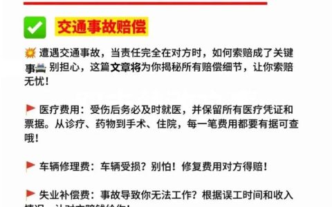 事故对方全责，保险公司赔偿项目与步骤指南